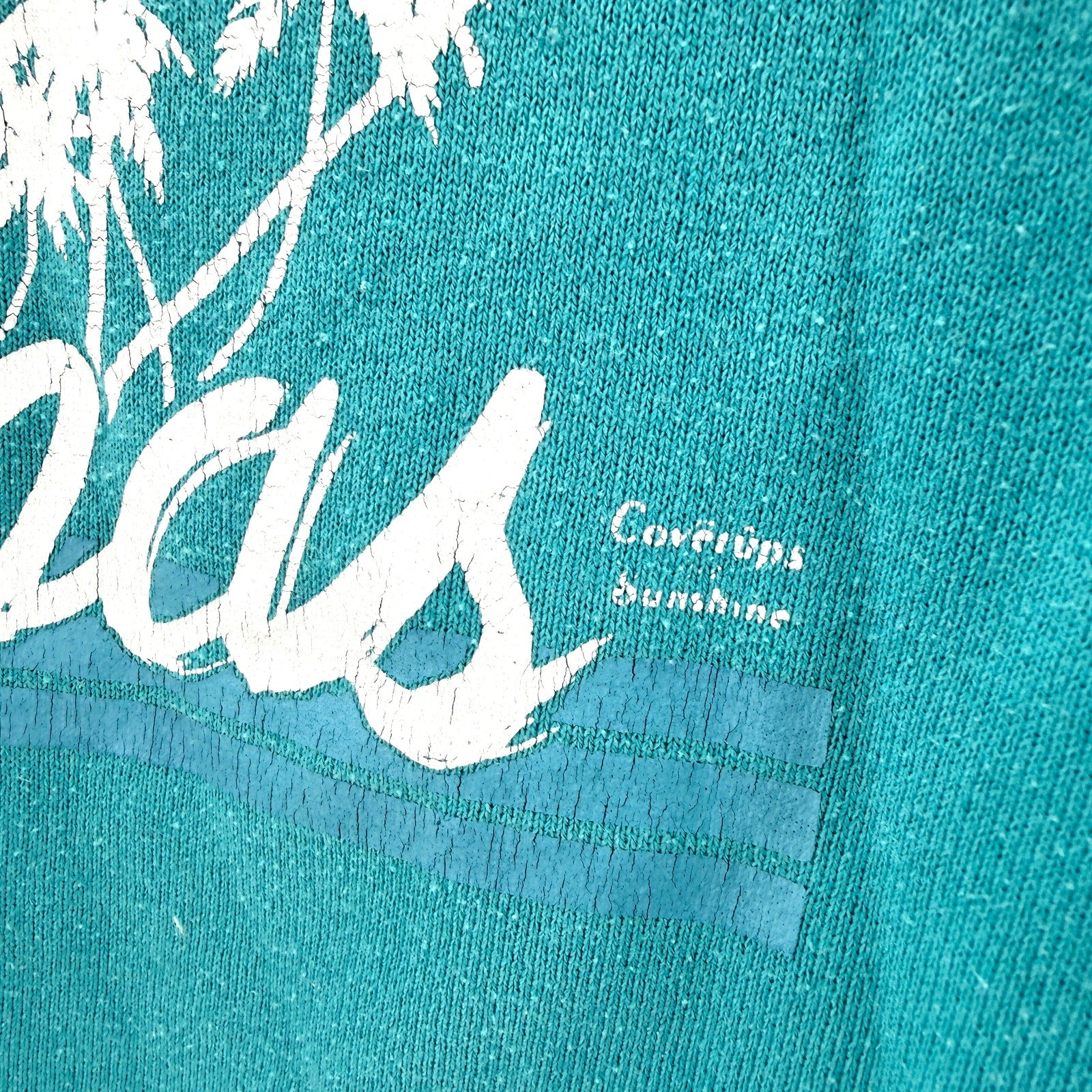 Vintage 90s Jerzees by Russell Teal Graphic Nassau Sunset Raglan Sweatshirt