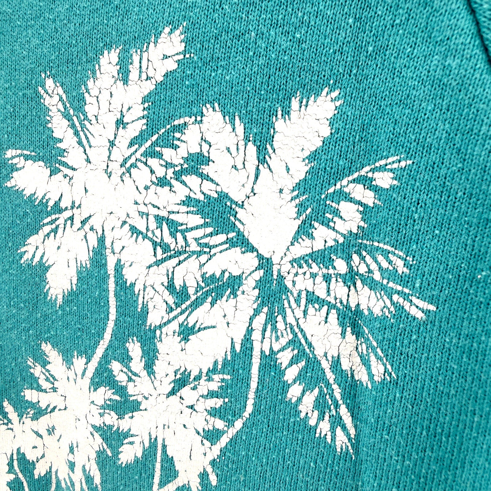 Vintage 90s Jerzees by Russell Teal Graphic Nassau Sunset Raglan Sweatshirt